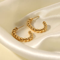 Aurevina Classic Twist Hoop Earrings